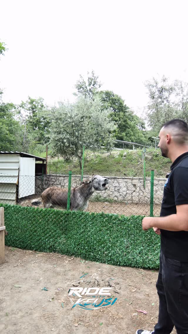 🔥 Shija tradicionale që piqet ngadalë mbi saç!

@te_saci çd